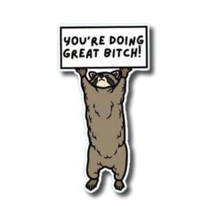 You're Doing Great B!tch Raccoon Motivational Sticker NWT